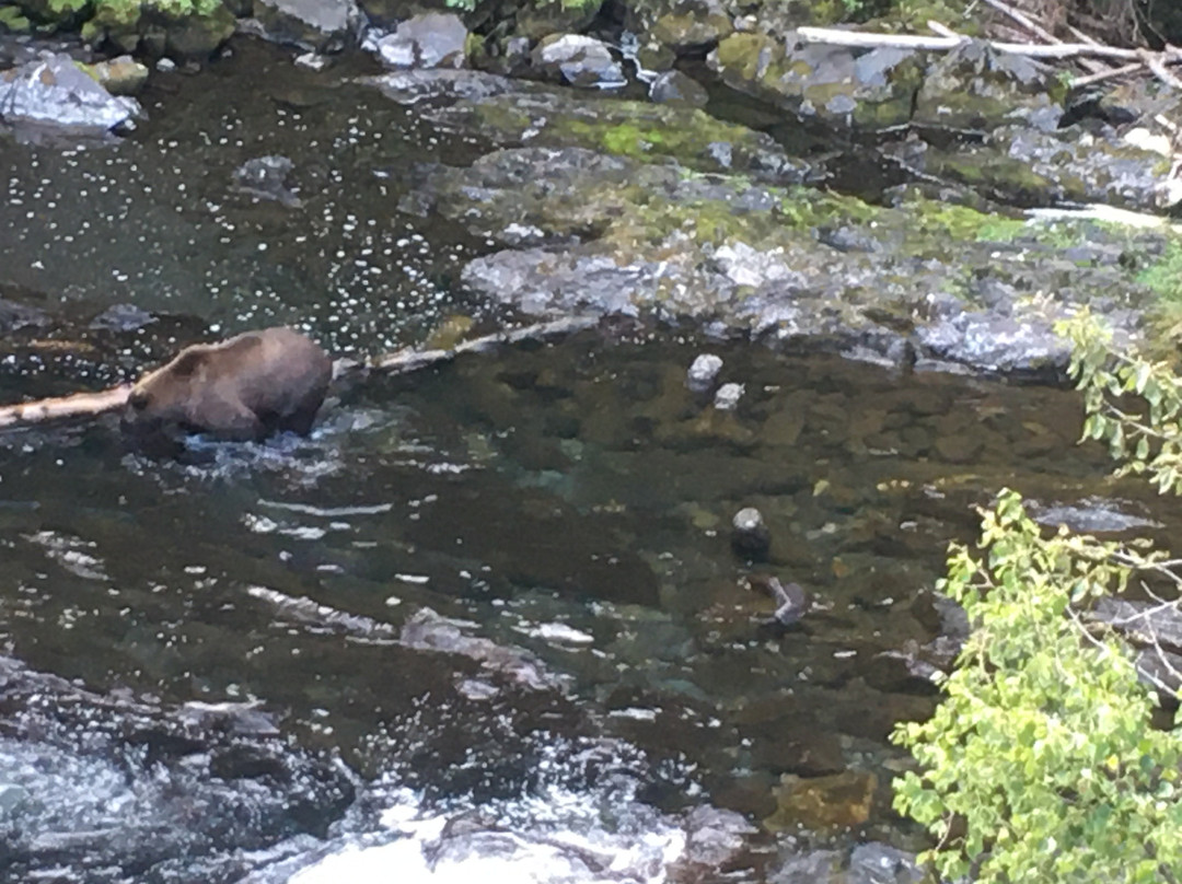Russian River Falls-Cooper Landing必去景点