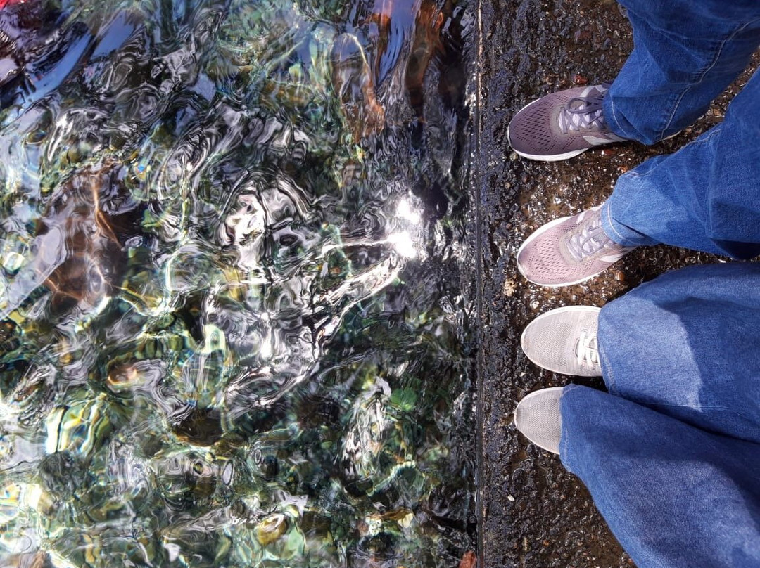 Batang Tabik Swimming Pool-Payakumbuh必去景点