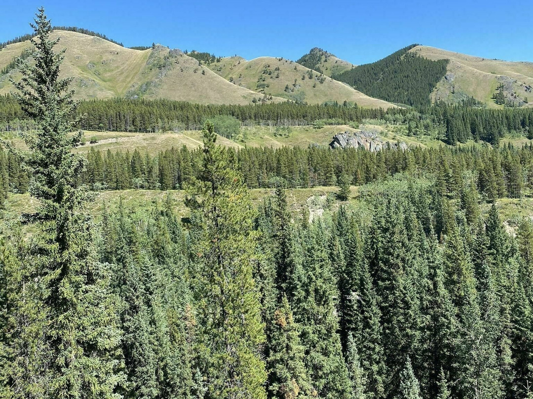 Cat Creek Falls-朗维尤镇必去景点
