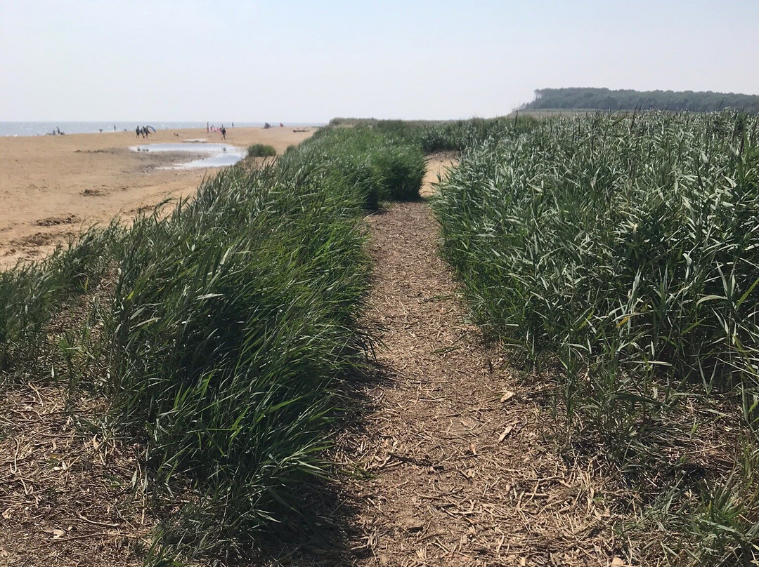 Covehithe Beach-Beccles必去景点