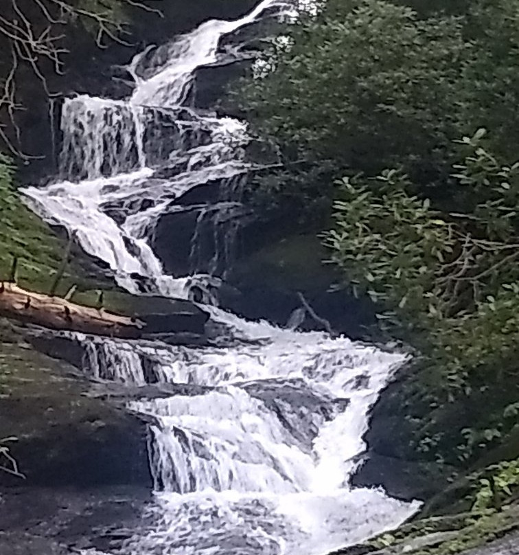Roaring Fork Falls景点图片
