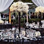 Panchkula Golf Club-Panchkula必去景点