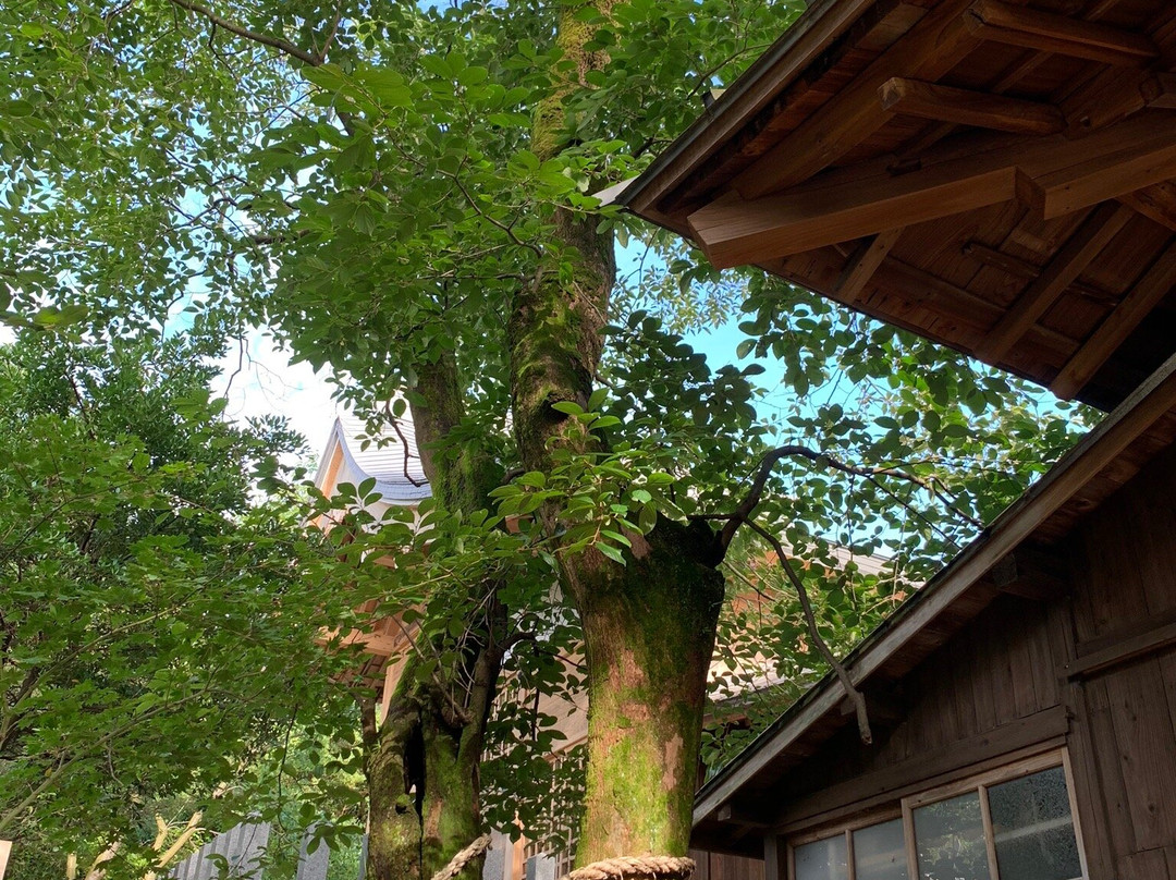 Unzen Shrine-云仙市必去景点