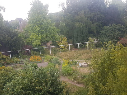 Botanischer Garten der Stadt Neuss-诺伊斯必去景点