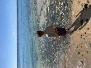 Shoy Beach-圣克鲁斯必去景点