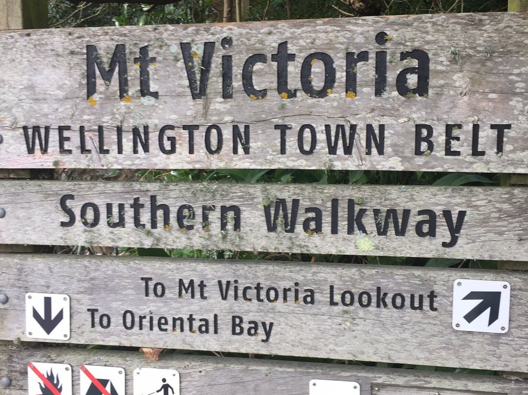 Southern Walkway-惠灵顿必去景点