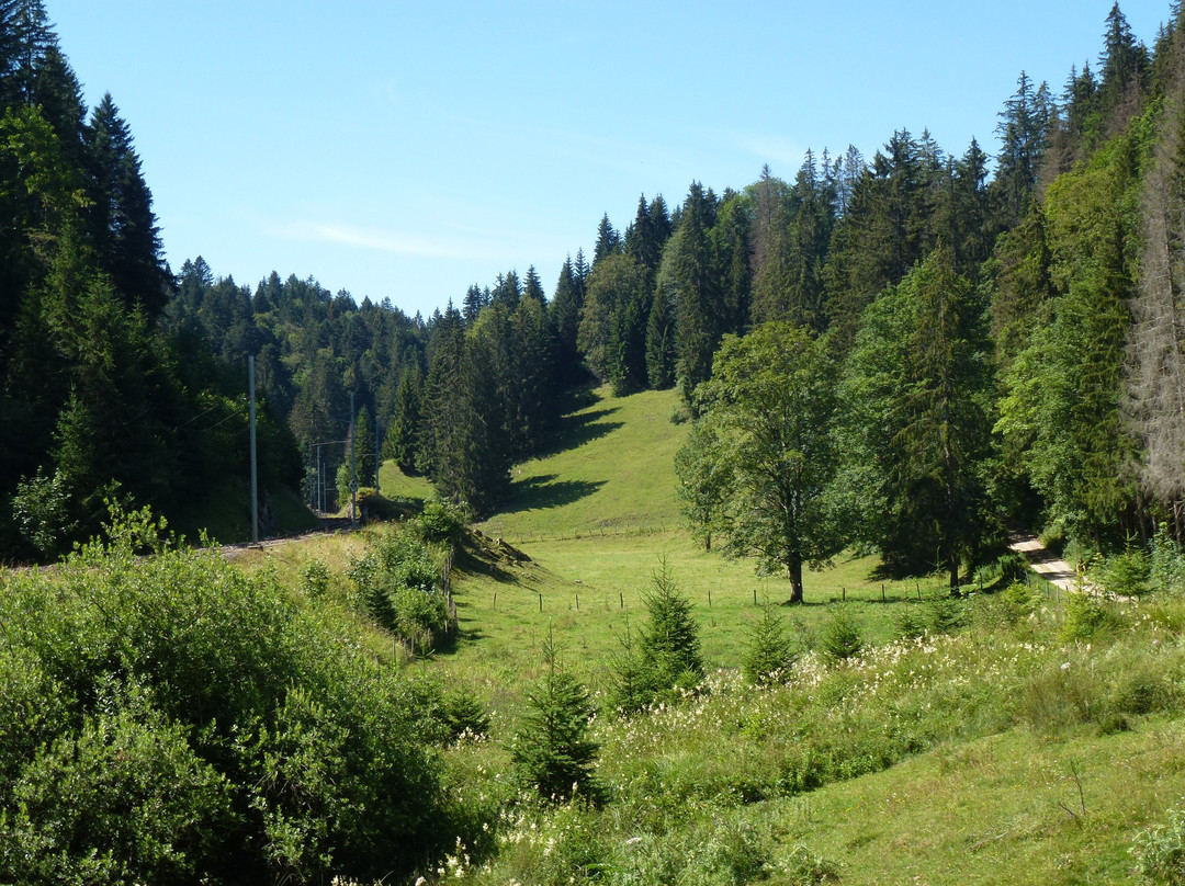 Ferme de la Combe Tabeillon景点图片