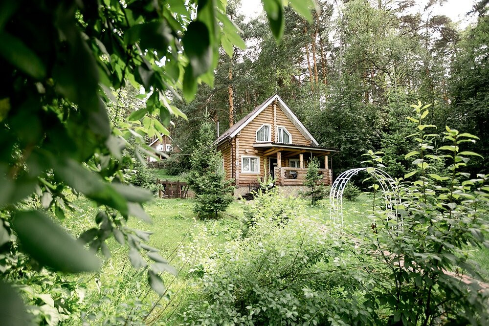 Tsarskaya Okhota主图