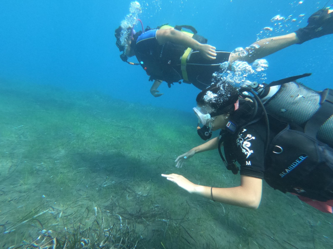 Aegean Divers Dive Center - Day Excursions-维查德必去景点