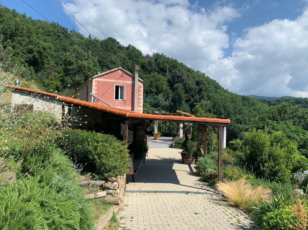 Agriturismo Gocce di Luna主图