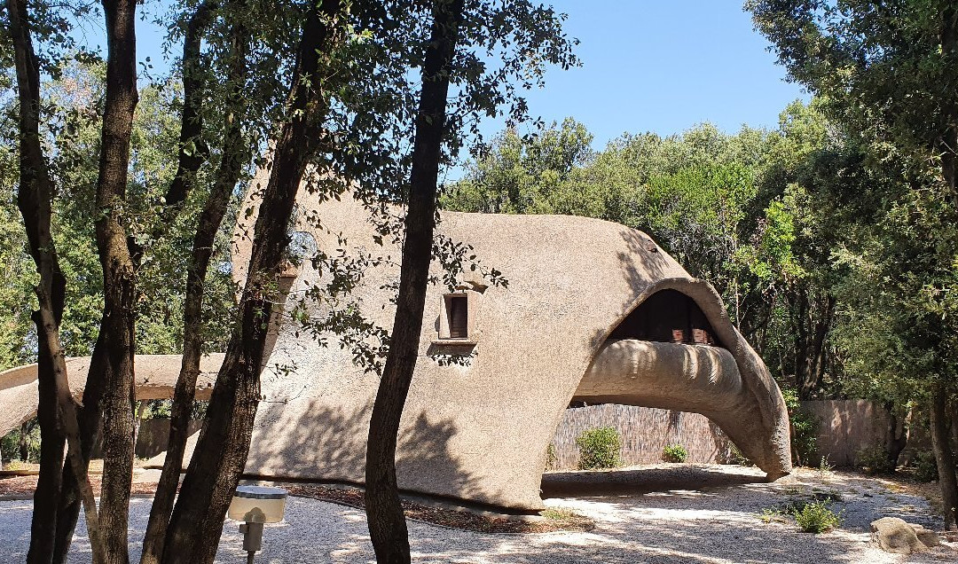 Casa Dinosauro Baratti景点图片