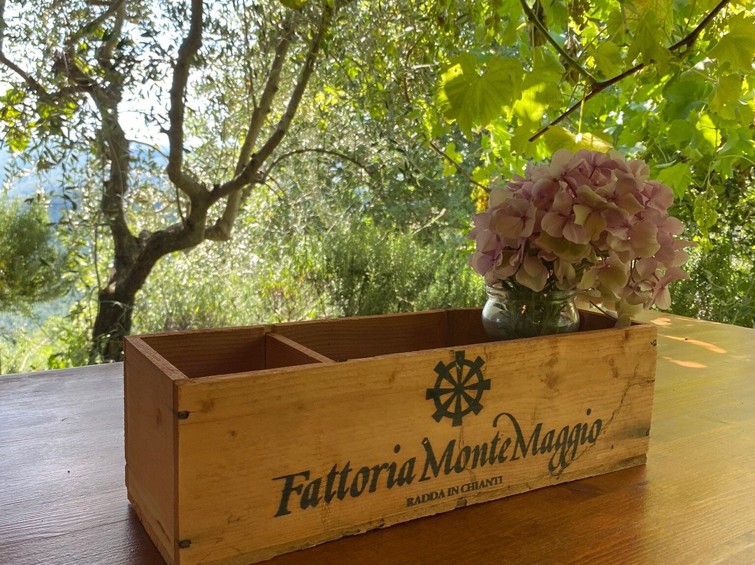 Fattoria di Montemaggio-拉达因基安蒂必去景点