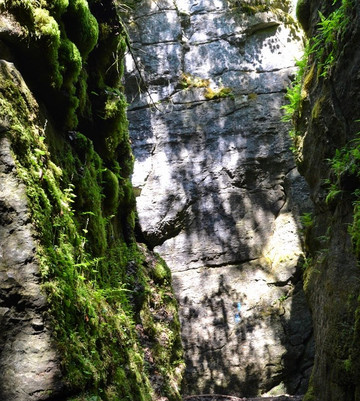 Nottawasaga Lookout Provincial Nature Reserve