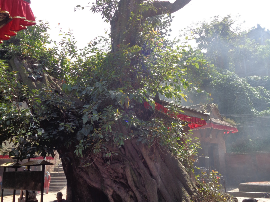 Indrayani Temple-巴克塔布必去景点