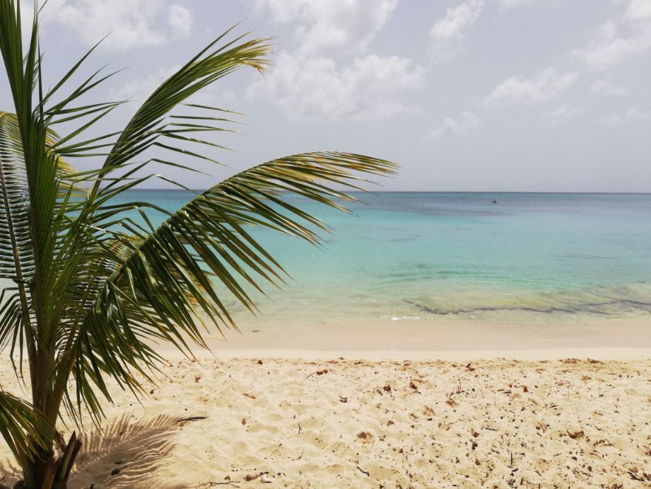 Xtrême Gliss 971 Caraibes Flyboard-Port-Louis必去景点