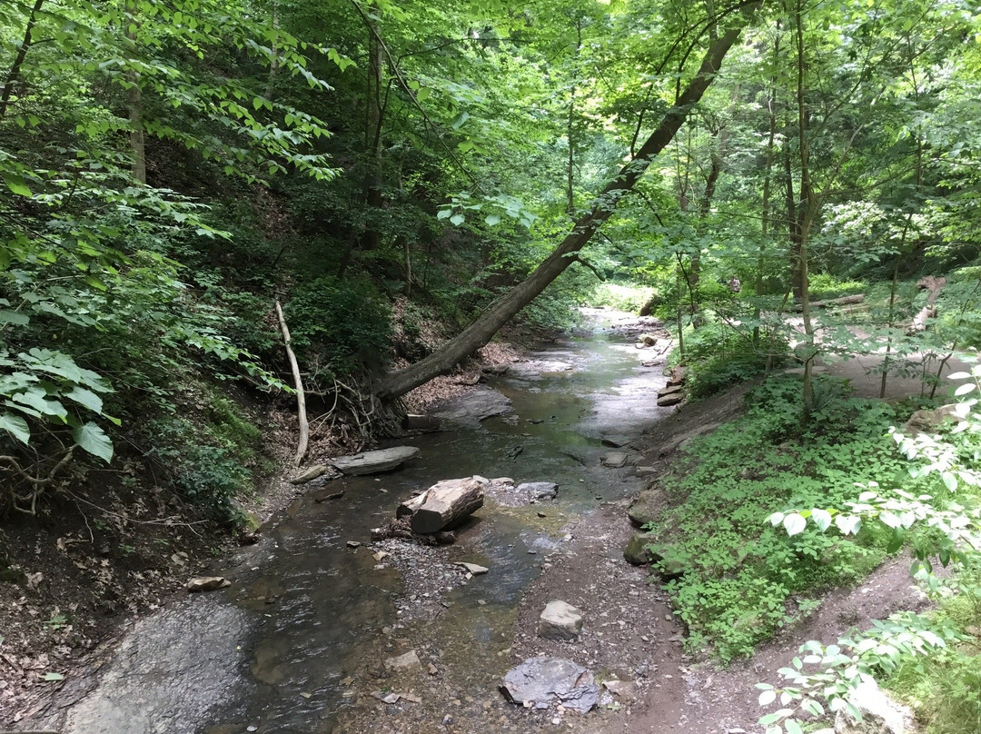Fall Run Park - Lower Entrance-Glenshaw必去景点