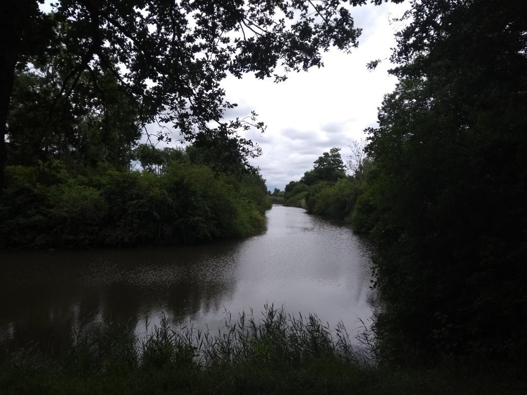Natuurpark Lelystad-莱利斯塔德必去景点
