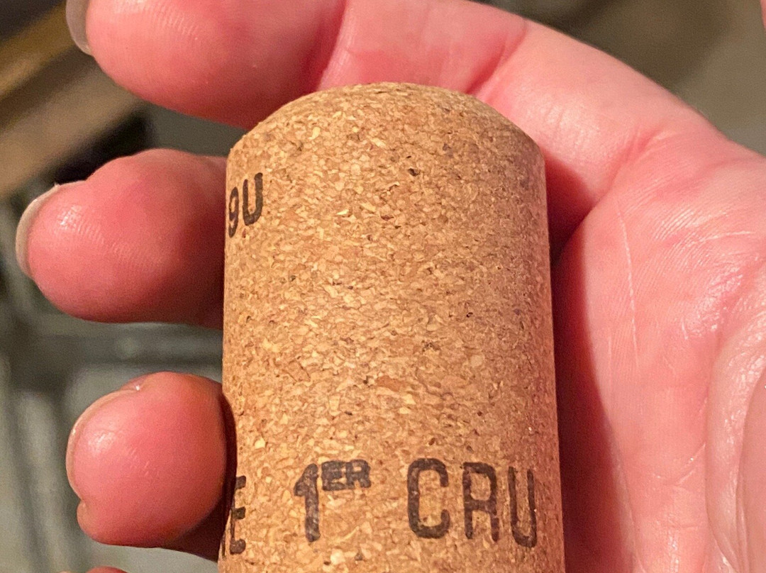 Champagne Pierre Morlet景点图片