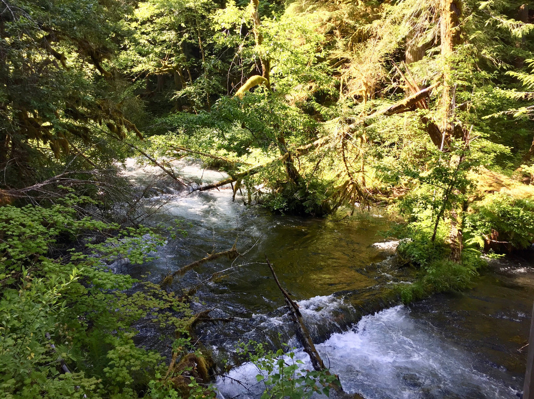 McKenzie River Trail-McKenzie Bridge必去景点