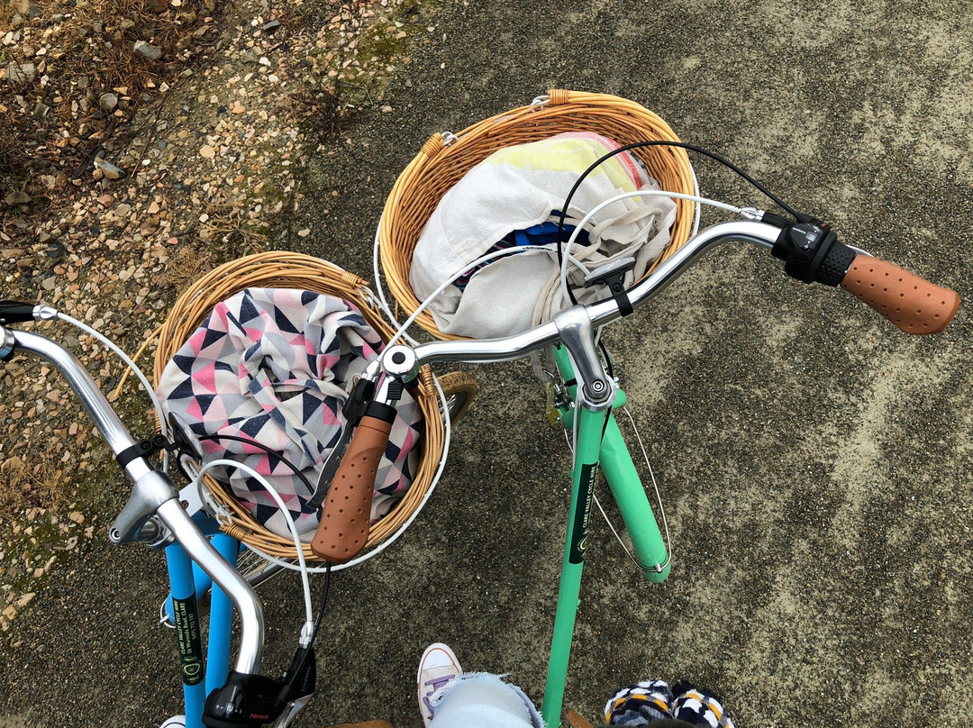 Clare Valley Cycle Hire-克莱尔必去景点