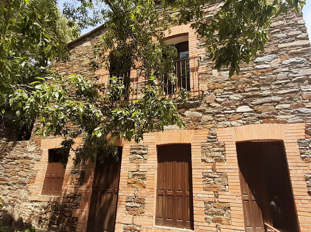 Musée Aristide Maillol景点图片