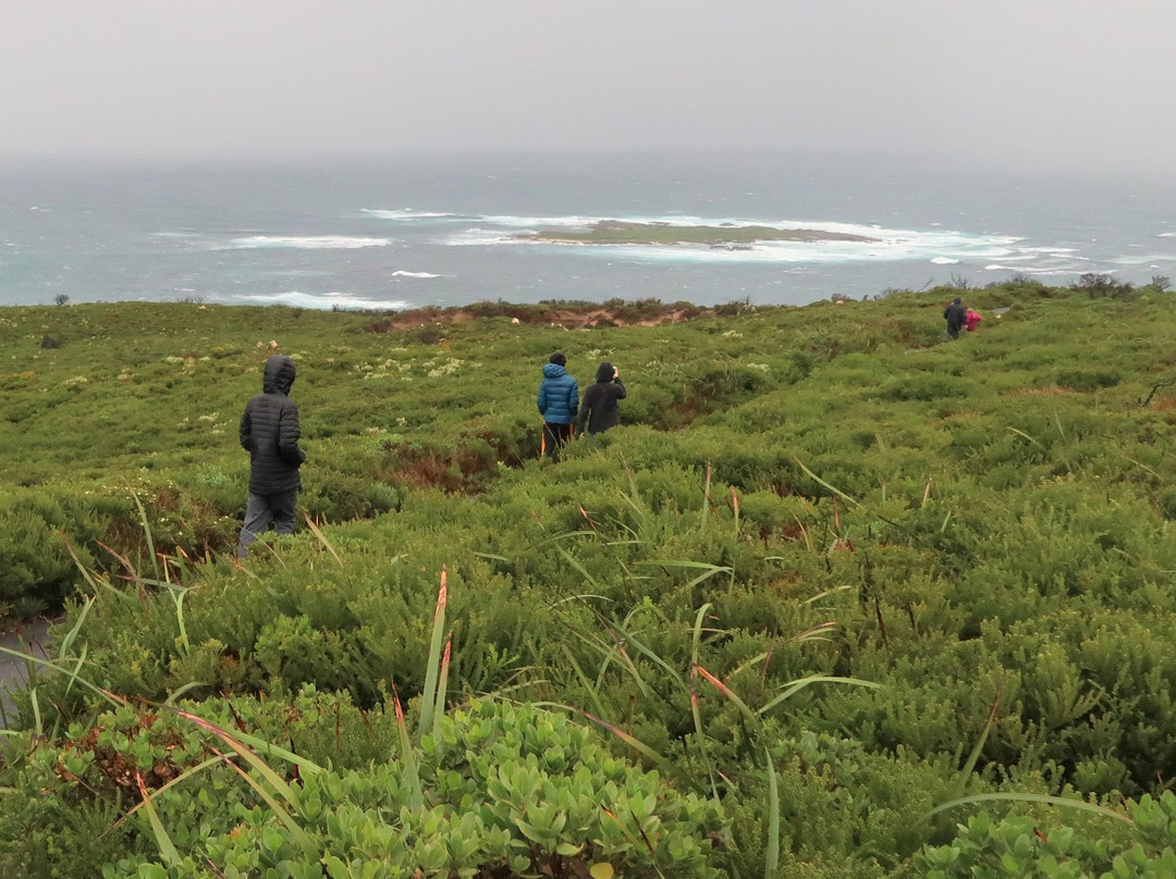 Point d’Entrecasteaux-Northcliffe必去景点