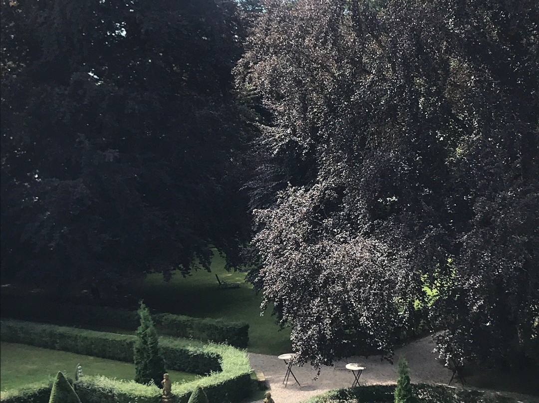 Schloss Lautrach主图