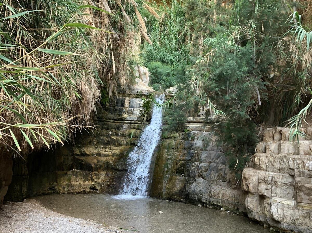 Nachal David Stream-死海地区必去景点