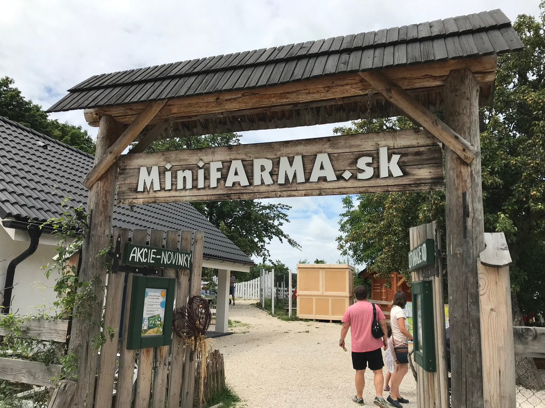 MiniFARMA-Lubina必去景点