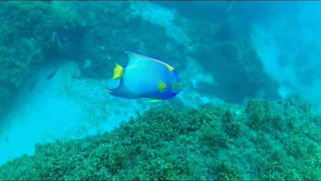 Acqua World-阿拉伊阿尔港必去景点