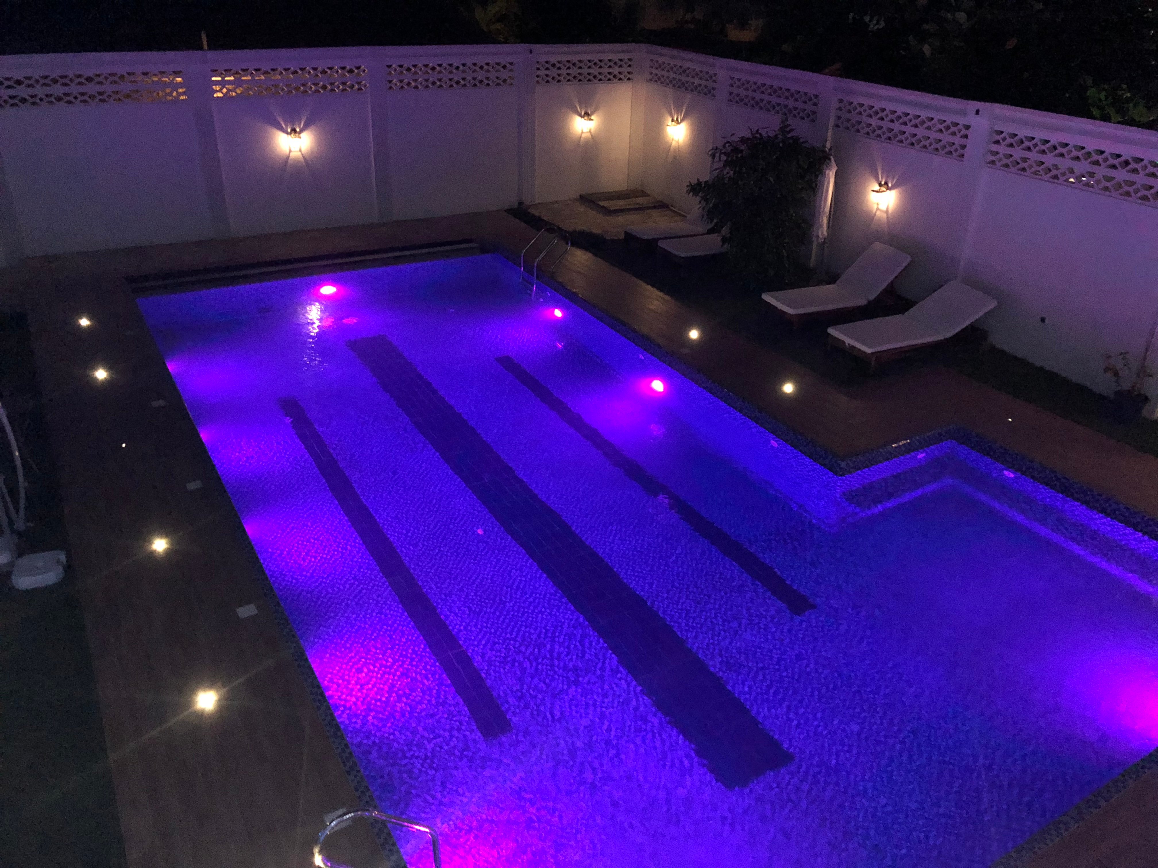 Hotel Petit Brussel-泳池