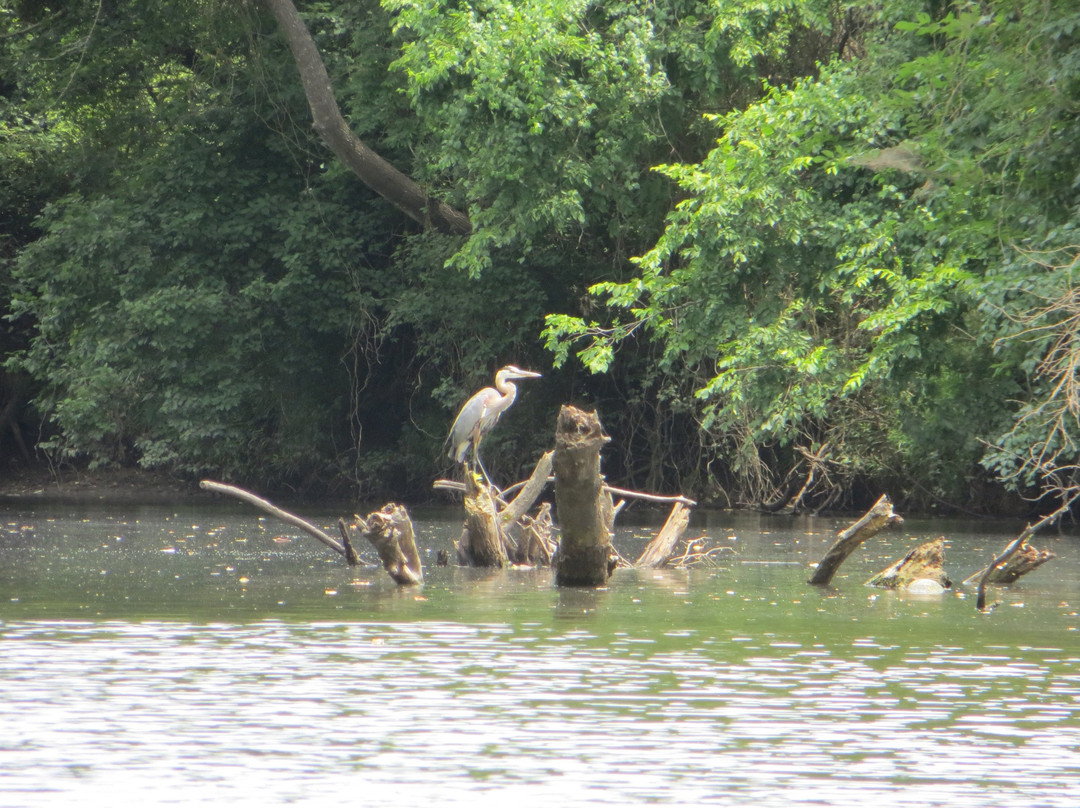 Limestone Bluffs Paddling Trail-Mexia必去景点