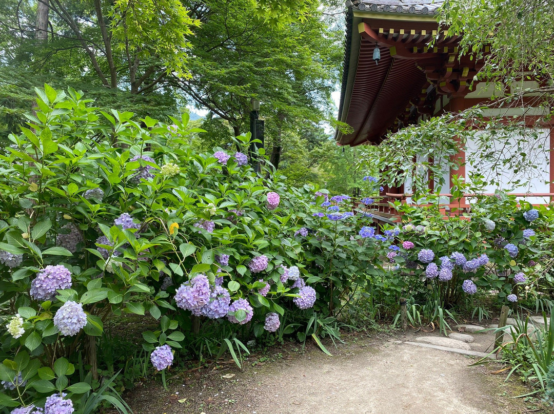 Kyuan-ji Temple-池田市必去景点