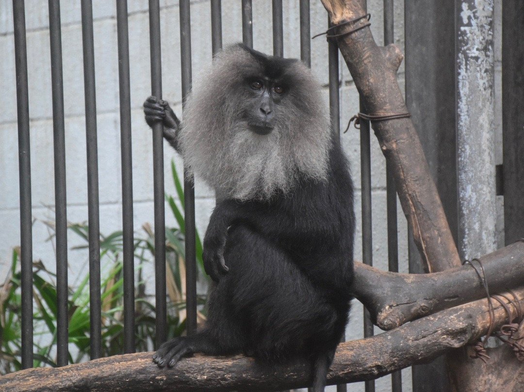 Omiya Park Zoo-埼玉市必去景点