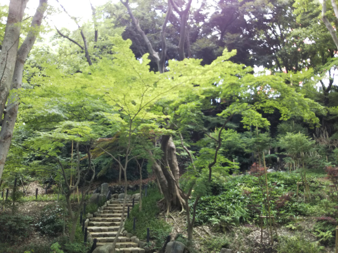 Momiji Valley景点图片
