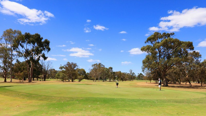 莫亚马中央汽车旅馆主图