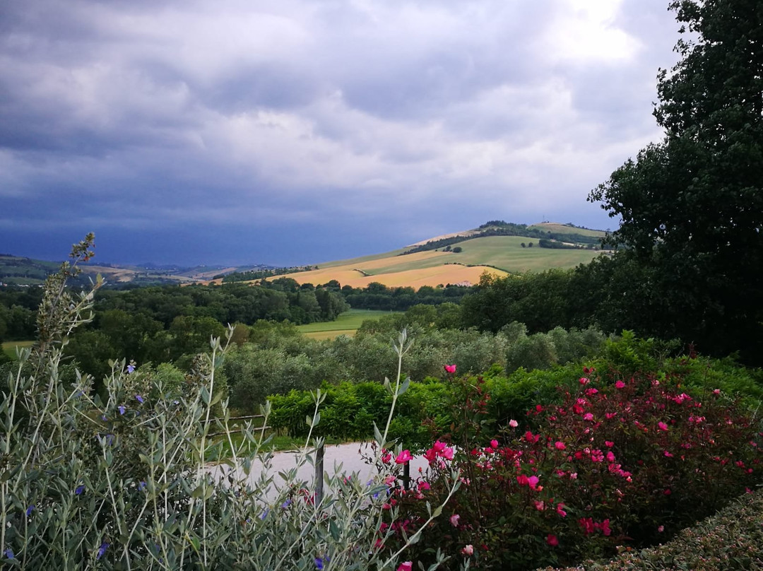 Tenuta Santi Giacomo e Filippo主图