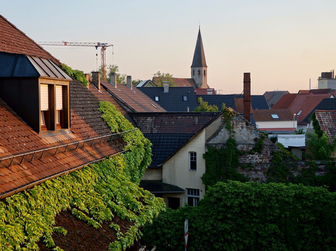 Landgasthof zum Goldenen Anker Eggenstein主图