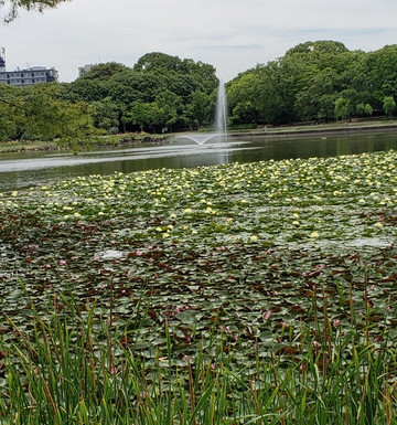 长居公园-大阪市必去景点