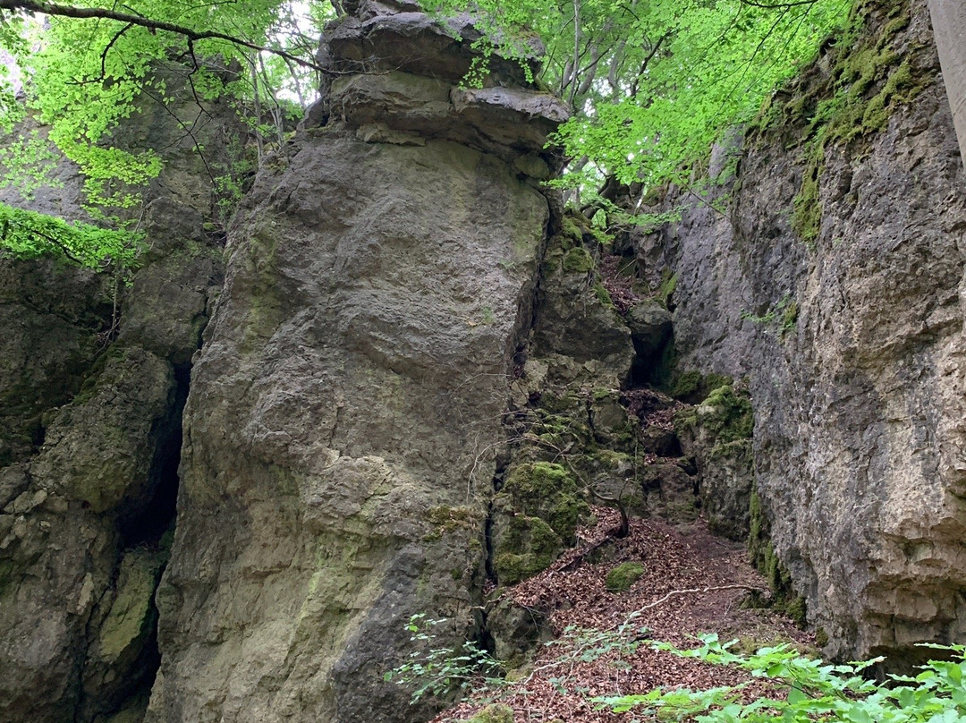 Eifelsteig Etappe Gerolstein - Hillesheim景点图片