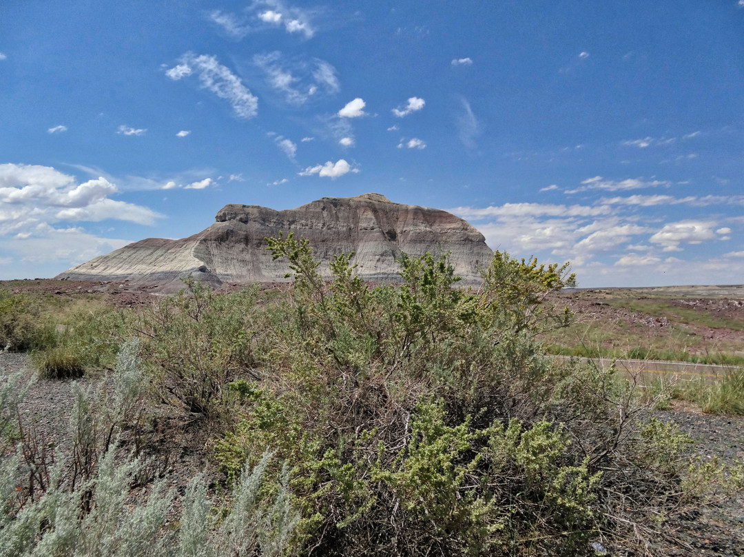 Martha's Butte-石化林国家公园必去景点