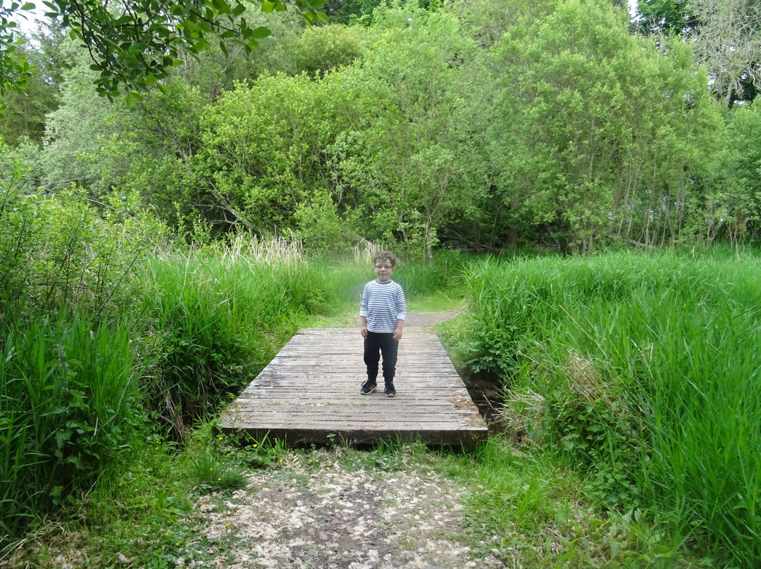Loch of Kinnordy-Kirriemuir必去景点