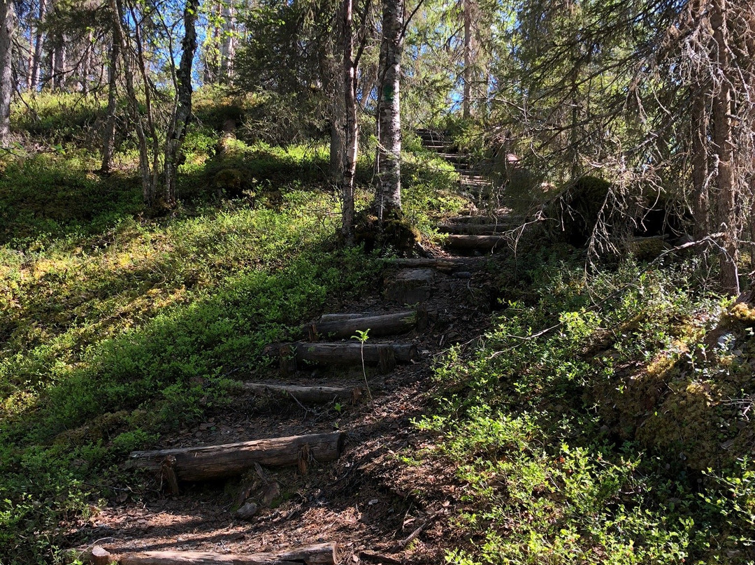 Kanjonin Kurkkaus Trail景点图片