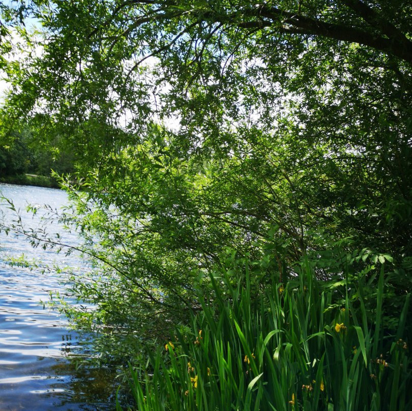 Chorlton Water Park景点图片