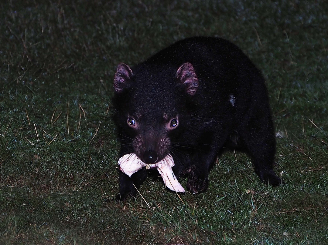 Mountain Valley Wilderness Holidays主图