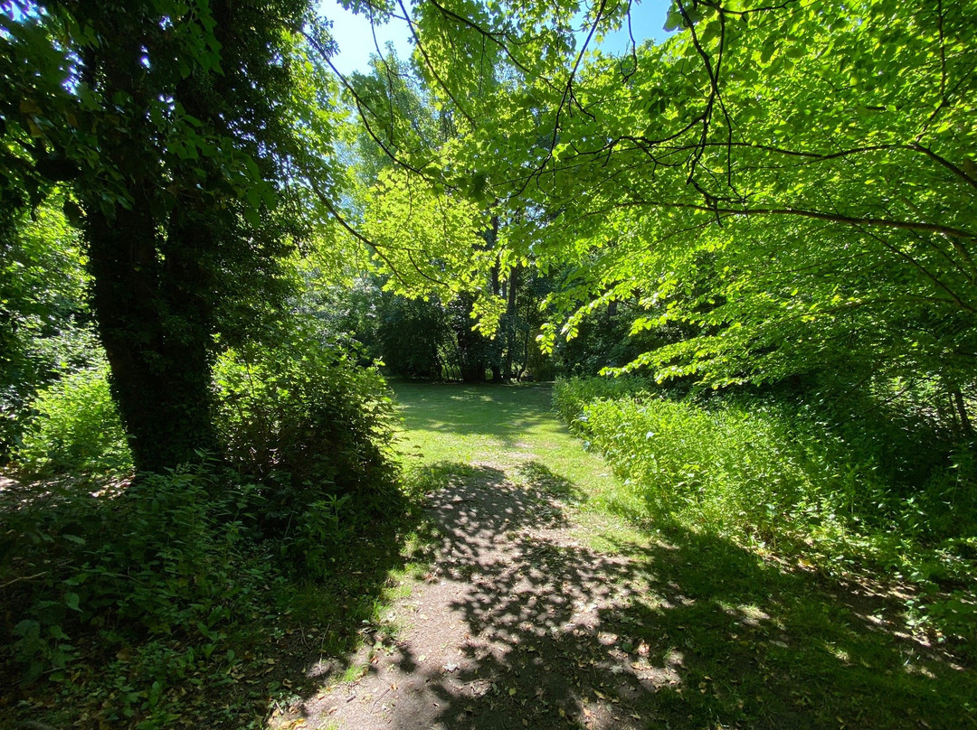 Ashwell Springs景点图片