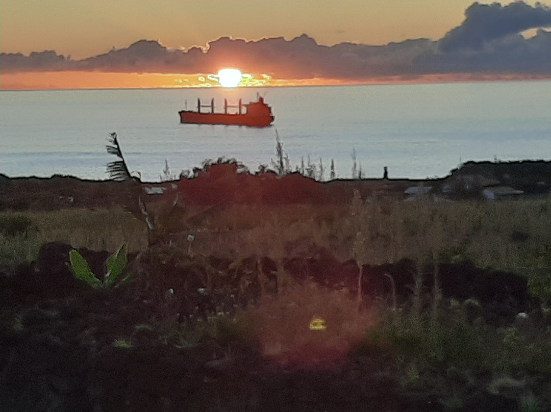 Altiplanico Rapa Nui主图