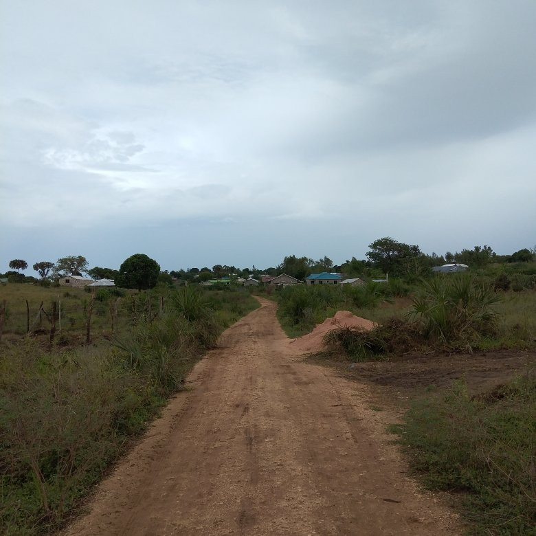 Malindi Market景点图片