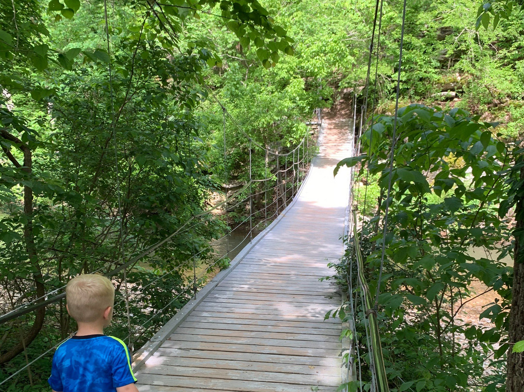 Tanyard Creek Nature Trail景点图片