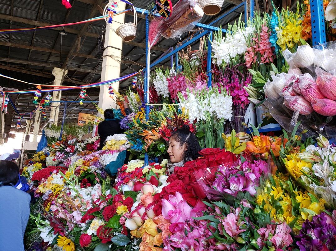 Acanela Expeditions-丹吉尔必去景点